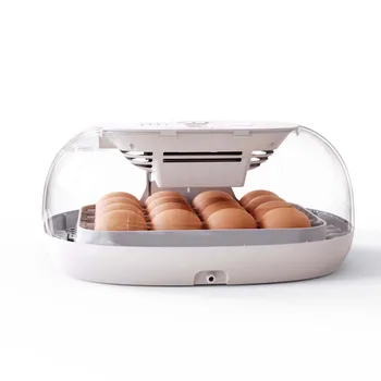 Инкубатор для яиц M16 с прозрачным корпусом, полностью автоматическое переворачивание яиц с сертификатом CE